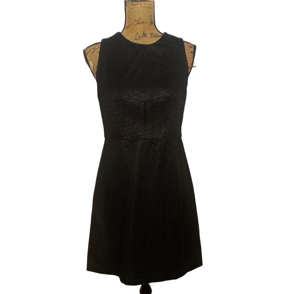 Ann Taylor LOFT 4 Dress A Line Peekaboo Lace Back Party Black Silver Metallic